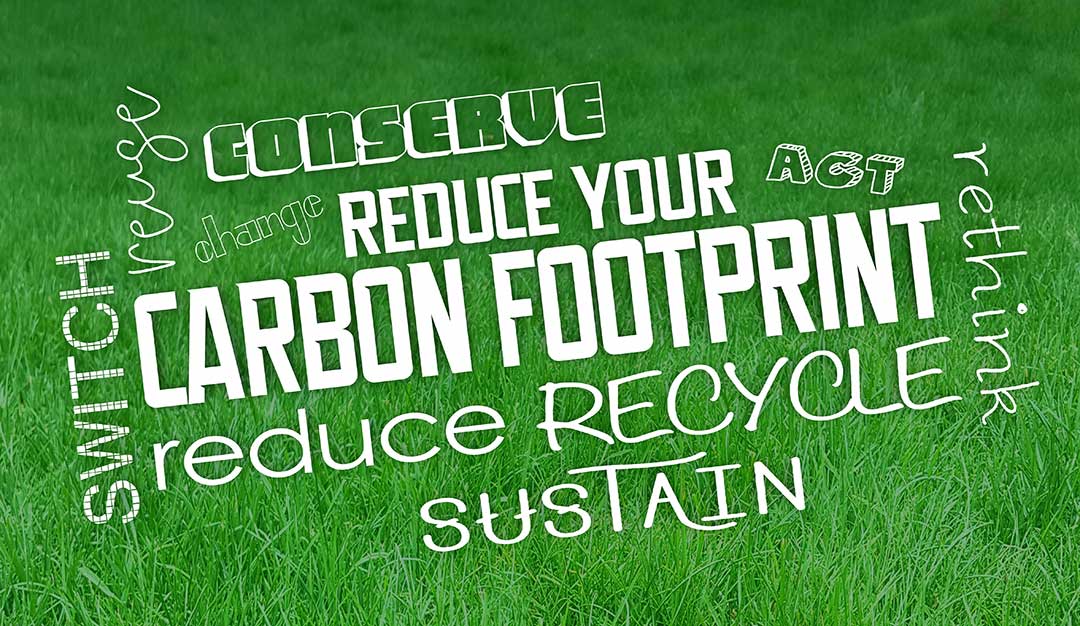 Reduce your house carbon footprint. Surry and Hampshire Estate Agents