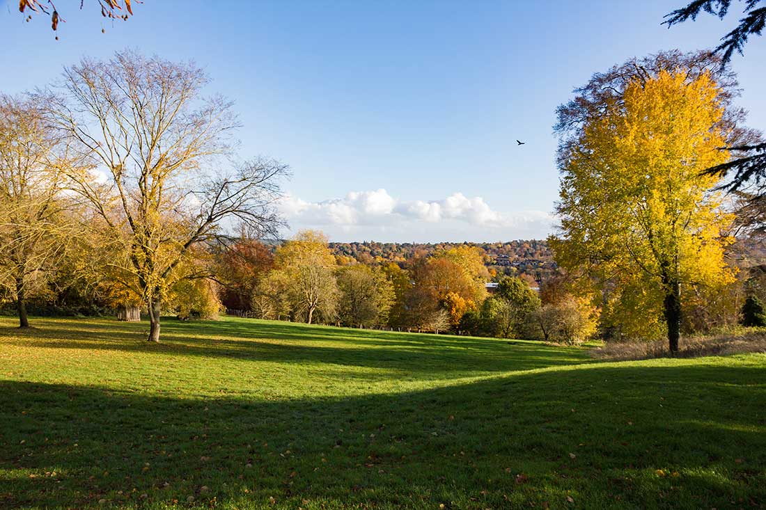 Farnham park Surrey located near the top of Castle Hill