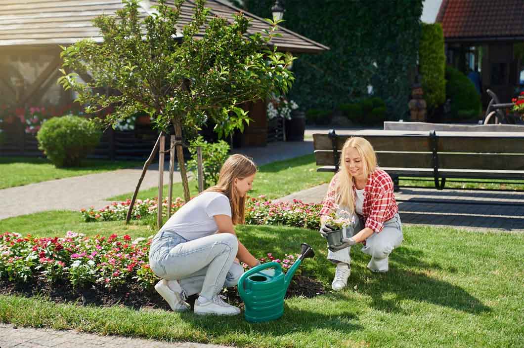 Enhance your garden and increase value with our 5 top tips